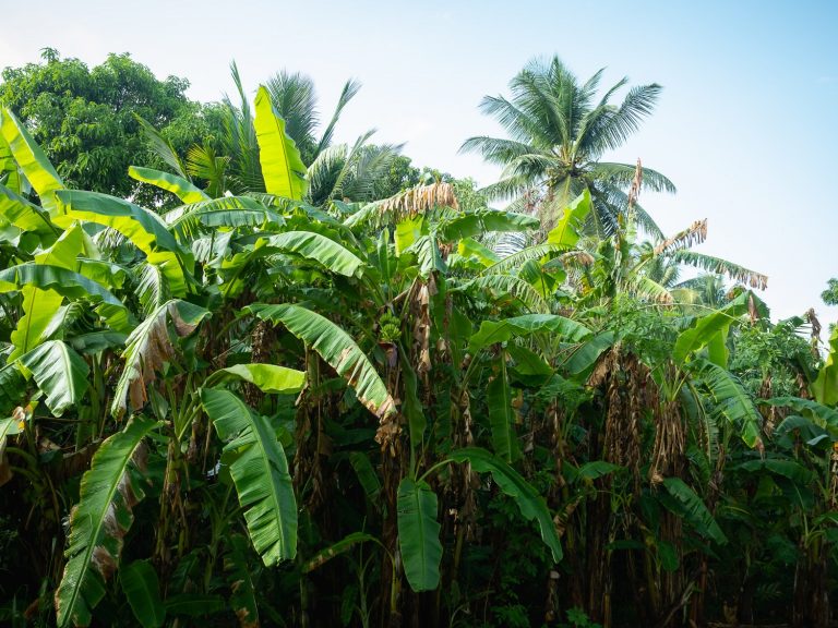 trincomalee-53-1.jpg