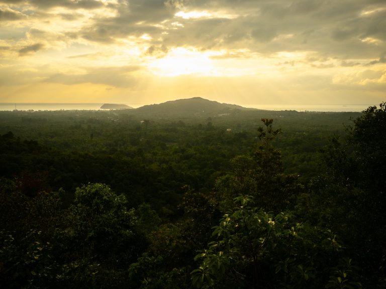 KohPangan-070