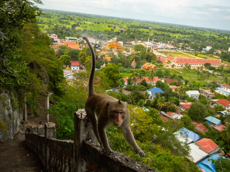 Battambang-65