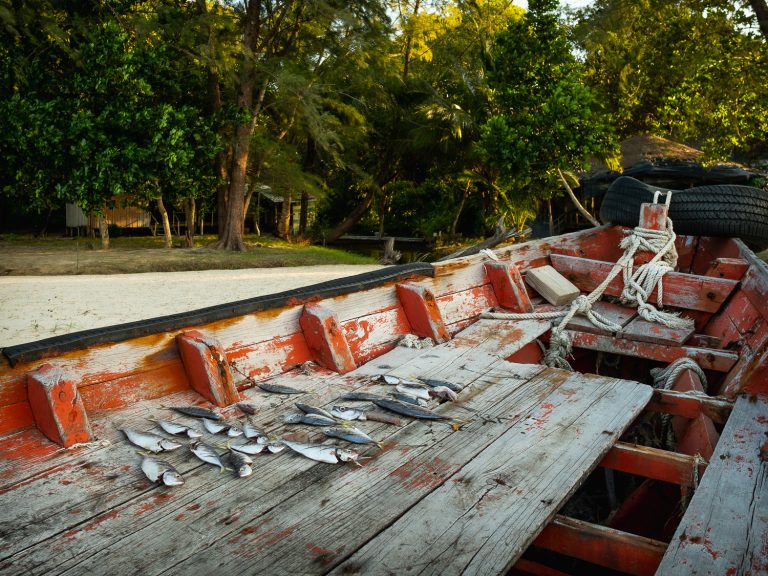 KohRongSamloem-dry-fish