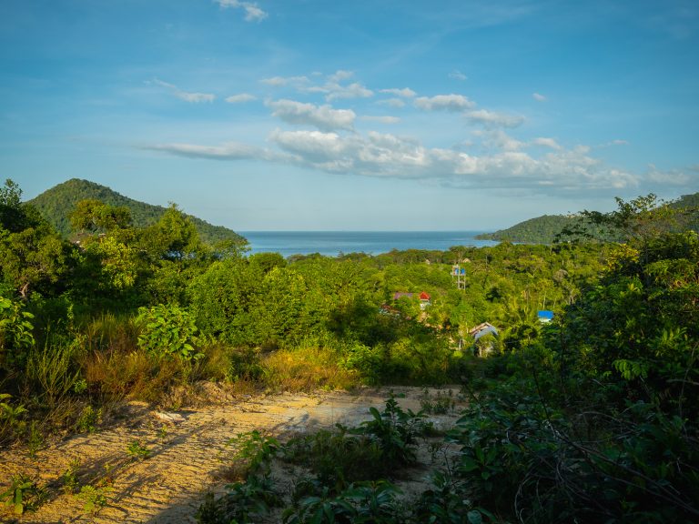 KohRongSamloem-jungle-path