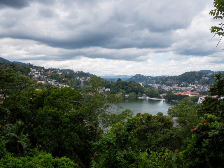 kandy-view