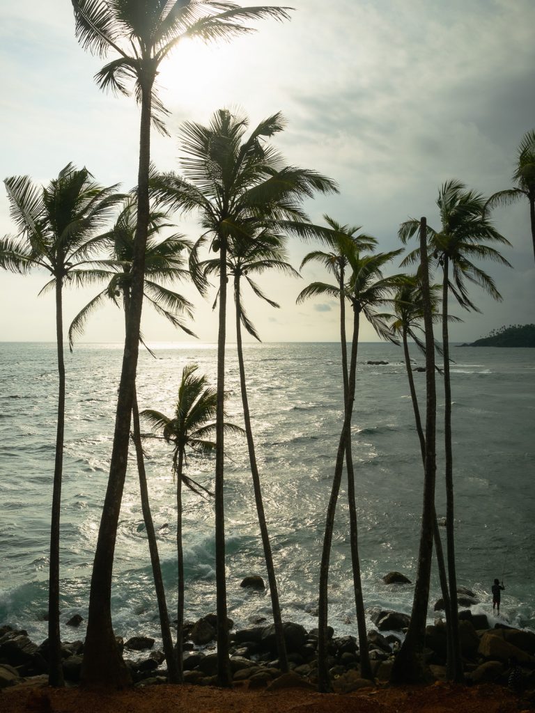 mirissa-coconut-tree-hill