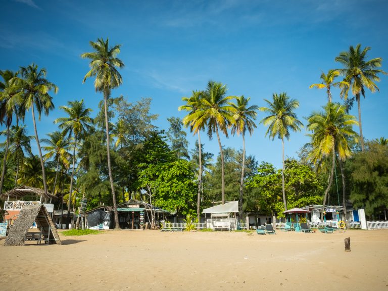 trincomalee-palmtrees