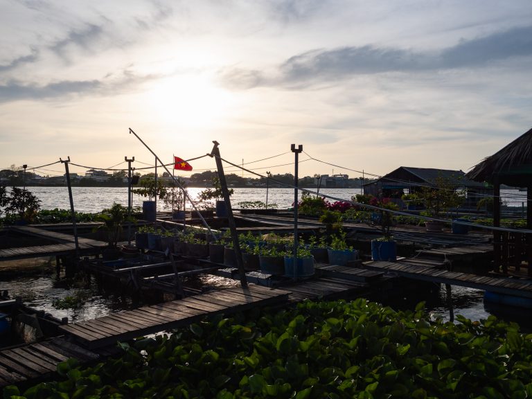 CanTho-fishfarm