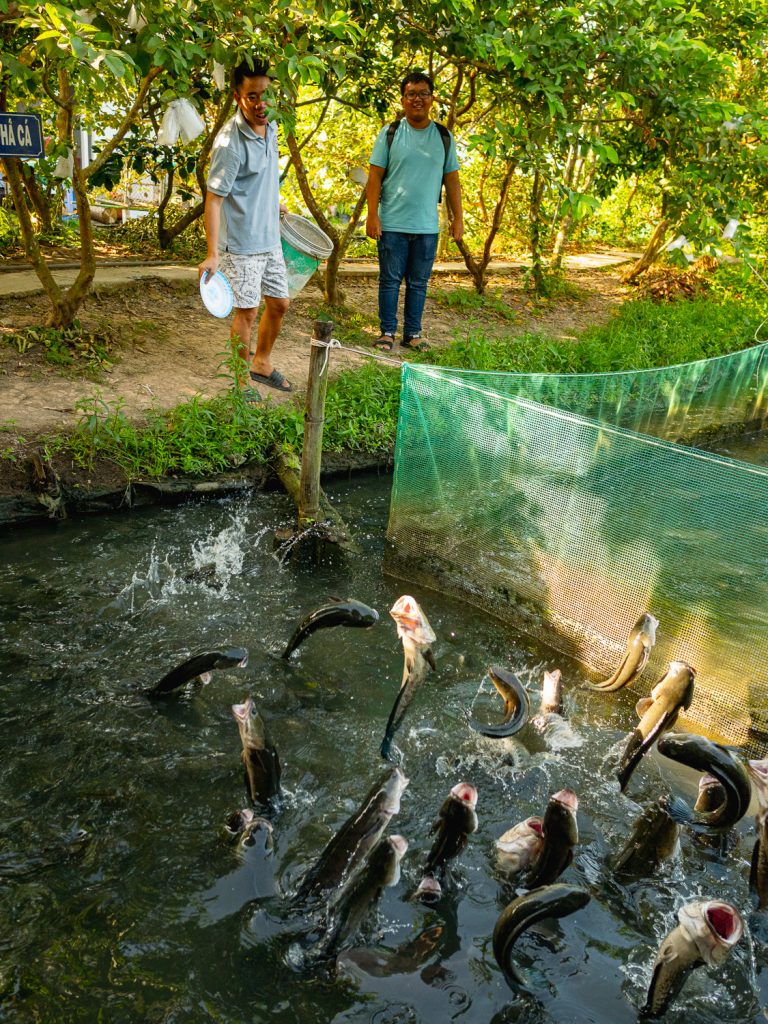 CanTho-flying-fish