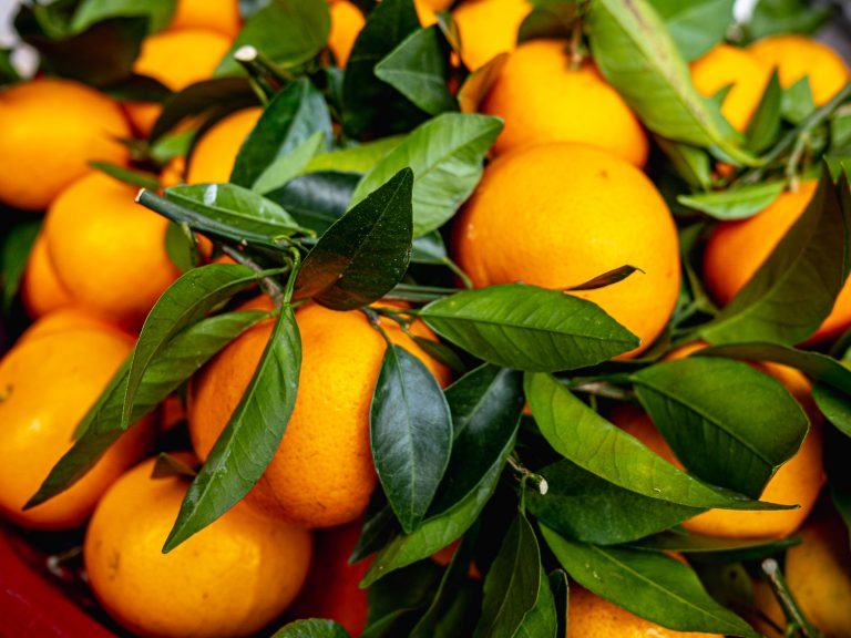 CanTho-oranges
