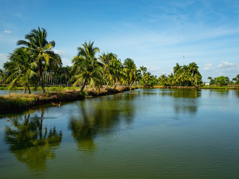 CanTho-son-islet