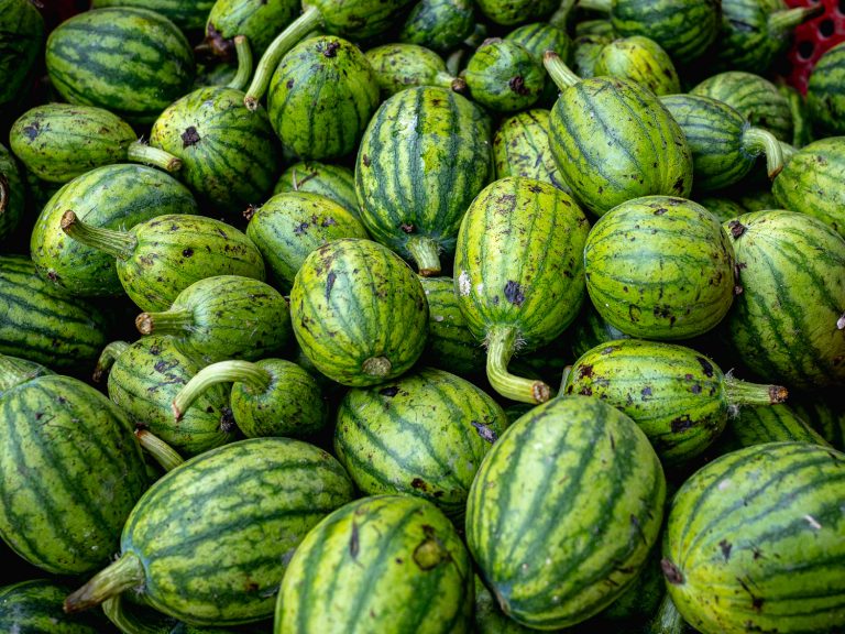 CanTho-watermelon