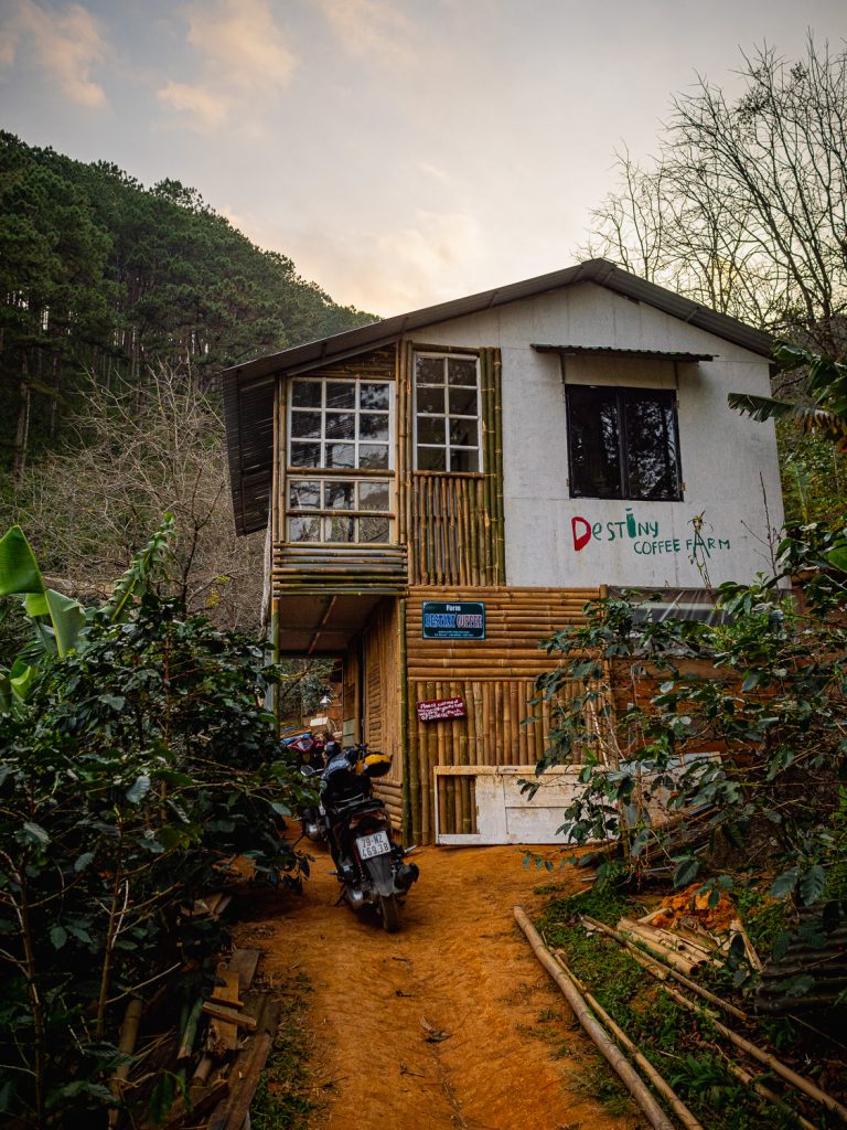 Dalat-destiny-coffee