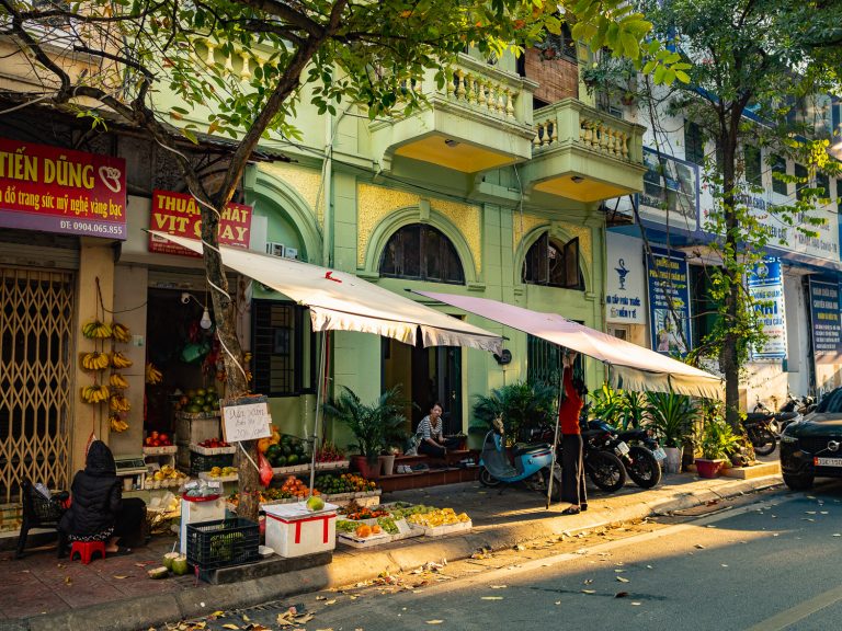 Hanoi-fruit-shop