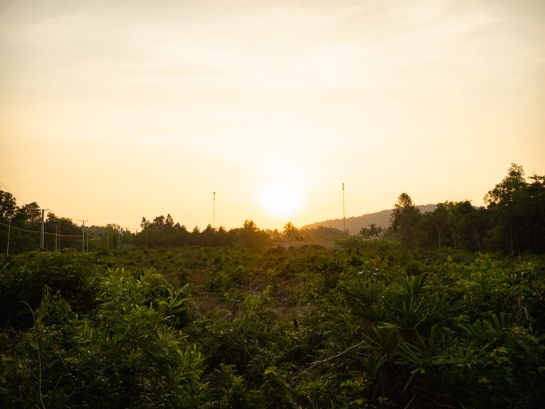 PhuQuoc-nature-landscape
