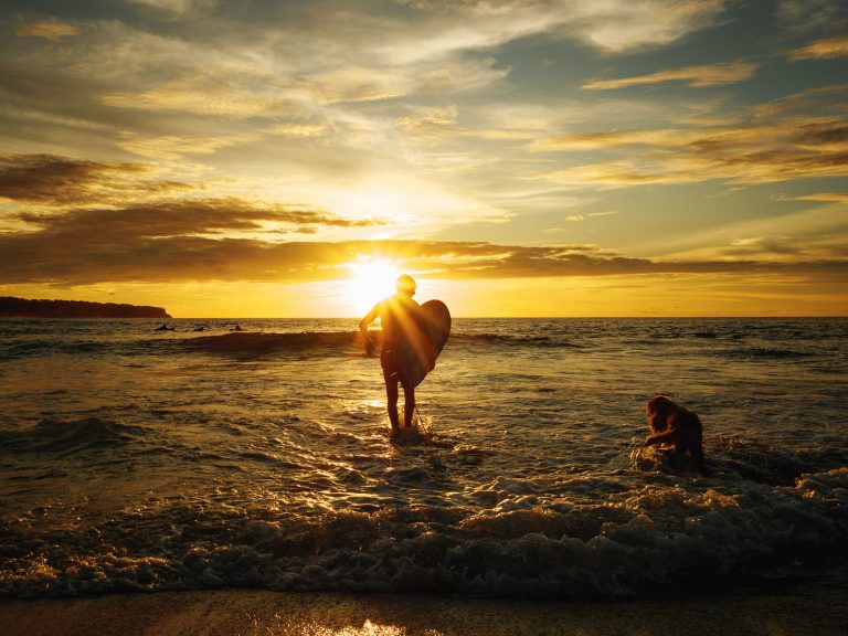 Bali-dreamland-beach-surfer-dog