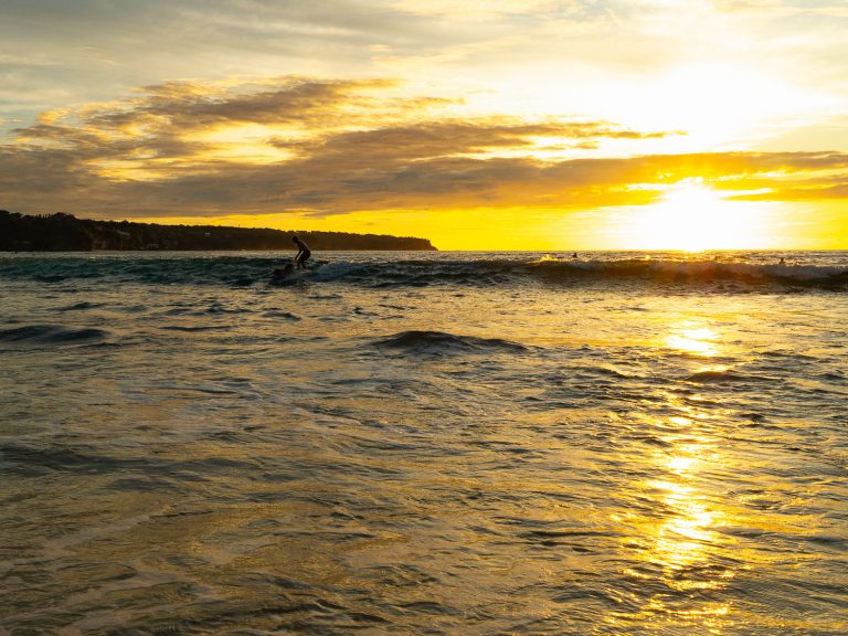 Bali-dreamland-beach-surfing-dog