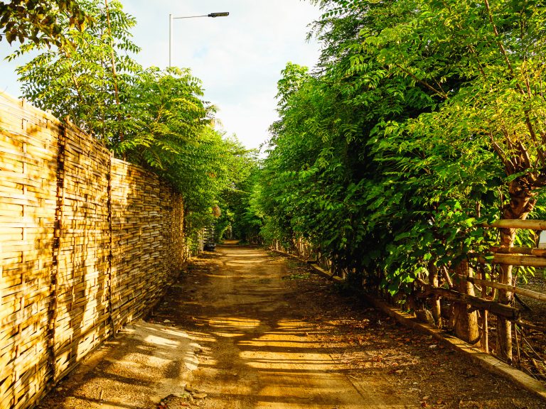 GiliAir-pathway