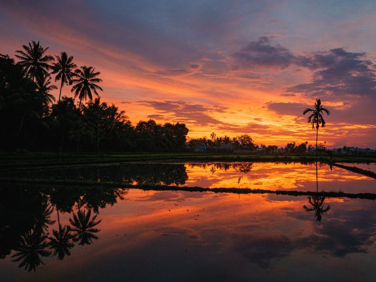 Lombok-rice-fields-sunset