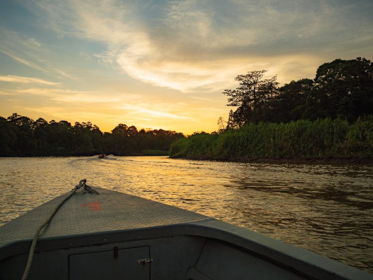 Borneo-Kinabatangan-boat-safari