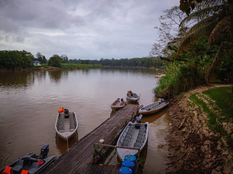 Borneo-Kinabatangan-pier